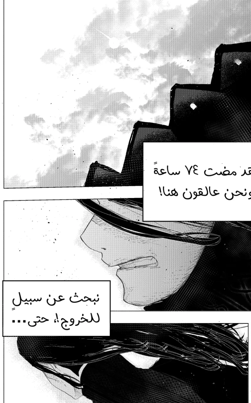 صورة الفصل