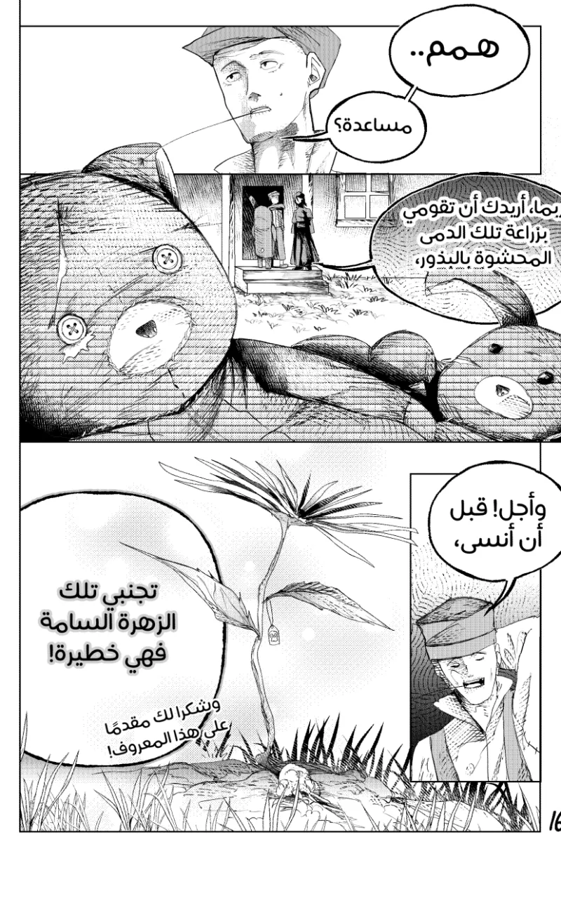 صورة الفصل
