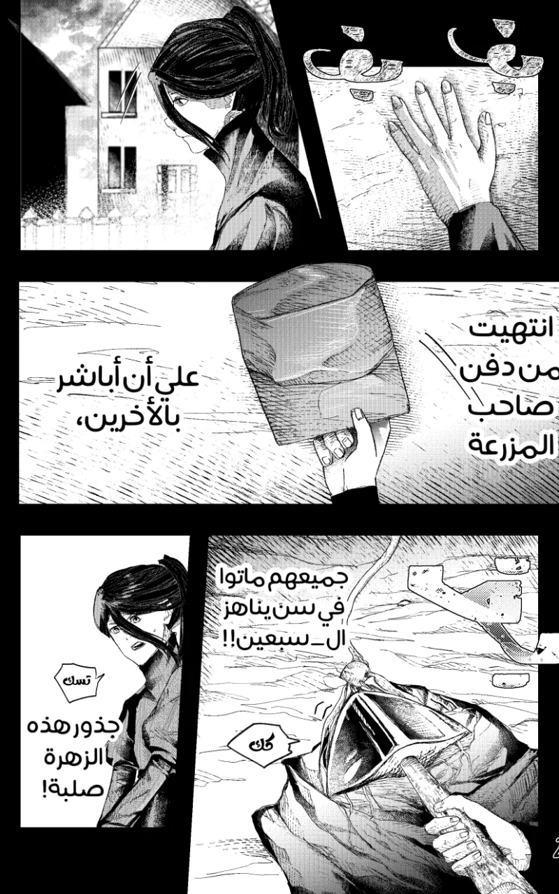صورة الفصل