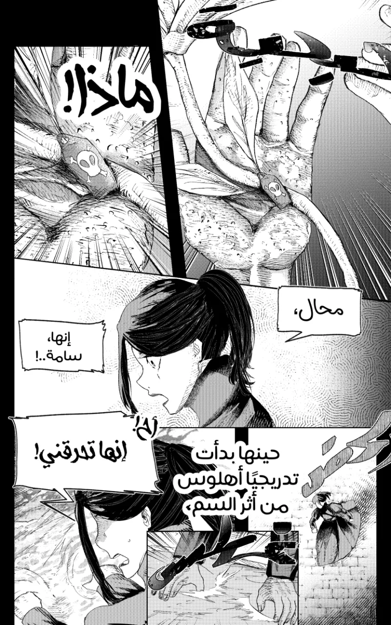 صورة الفصل