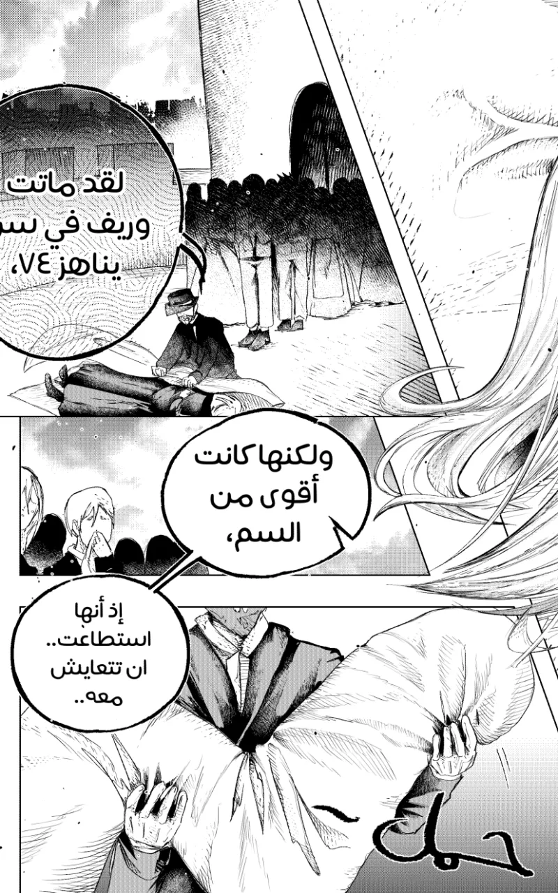 صورة الفصل