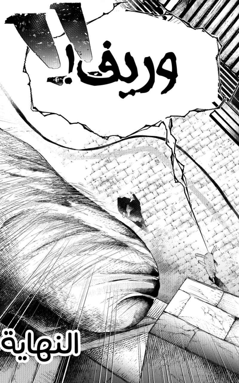 صورة الفصل