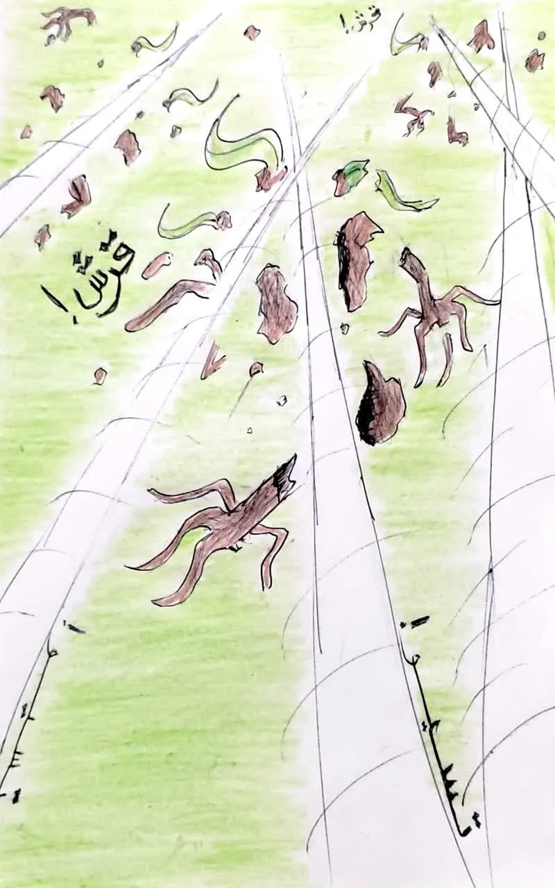 صورة الفصل
